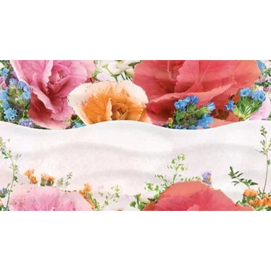 Dec Aroma 25х45 0