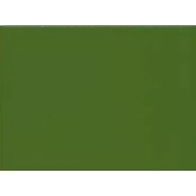 PT00286 Cenefa Liso Verde 15x20 0