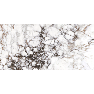 28568 BRECCIA WHITE NT/60X120/R 0