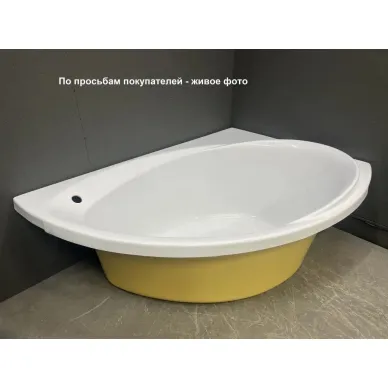Акриловая ванна Relisan Eco Plus Ибица (Гл000023038) 170х120 ППУ, правая 5