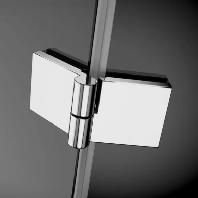 Душевая дверь Radaway Essenza (385042-01-01L) (120 см) (L) 8