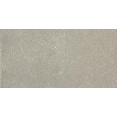 762103 ESPRIT DE REX NEUTRAL GRIS RET 60X120 0