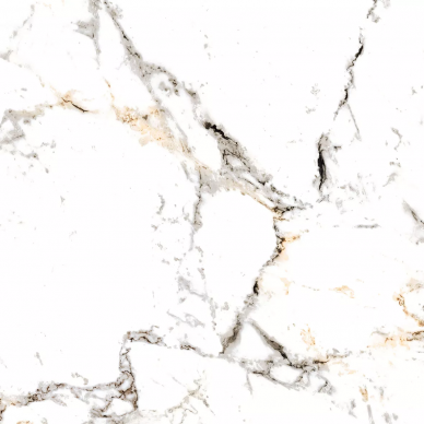 20578 TUCCI GOLD/P 60x60 0