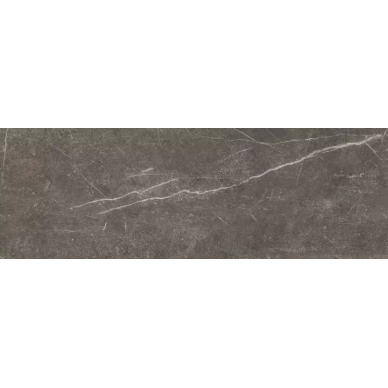 Shetland Dark Rectificado 33.3х100 0
