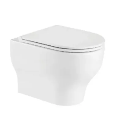 Инсталляция Welt Wasser Bamberg 545 + ERLENBACH 004 GL-WT + Bamberg BL в комплекте с унитазом, безободковый, с сидением микролифт 2