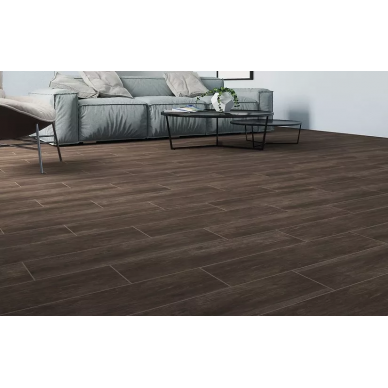 Rustic 2