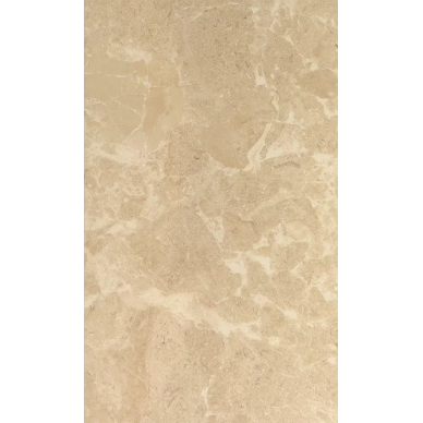 Saloni brown 01 30*50 0