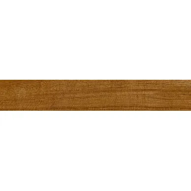 100287917 P18803791 Oxford Cognac 19.3x120 0