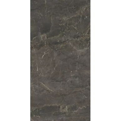 Wonderstone Grey 59.8x119.8 0