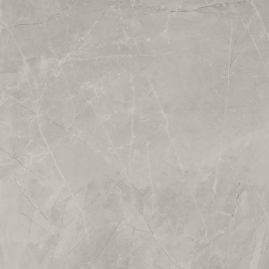 Bayona Silver Natural 120x120 0