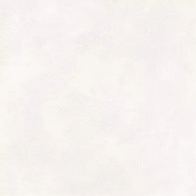 GWF42011 Magnetic Beige Lappato 60x60 0
