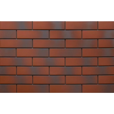 9546 Rot 24,5х6,5х0,65 0