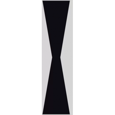 Nanospectrum Black Pulido Field 14.42x89.46 0