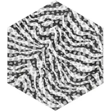INSERTO ZEBRA S/1 HEXAGONE 24x27,7 0
