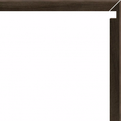 73074 Battiscala Dx Wenge 4,8x60 0