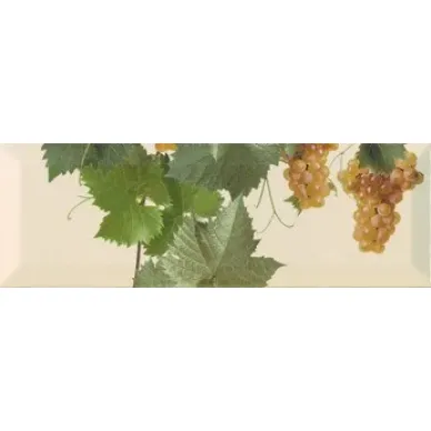 Moscatel crema 2 10x30 0