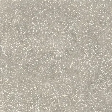 762059 ESPRIT DE REX VINTAGE GRIS RET 80X80 0