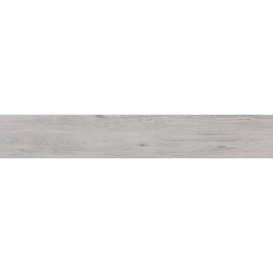 Epica Gris 0940 19.3x120.2x0.8 0
