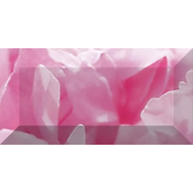 Бордюр рельефный Peony br1020D281-1 20х10 0