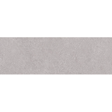 Niza Gris Rett. 25х75 0