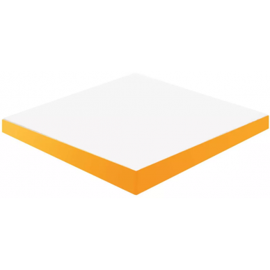 16491 D.SCALES-NA 12X12 0
