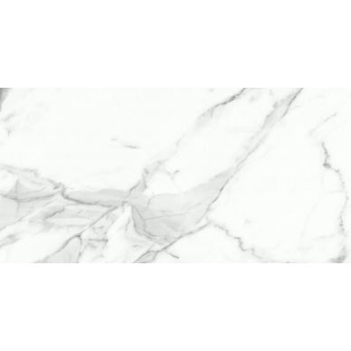Calacatta Silver MT 60x120 0
