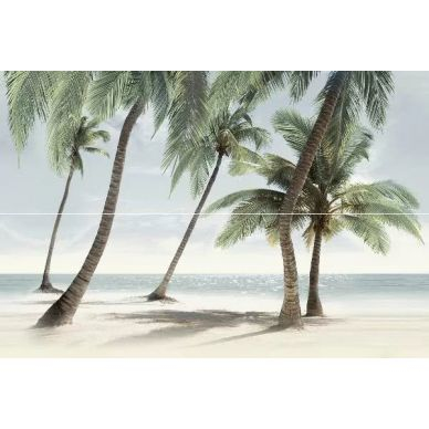 PWA11ALD2 Ailand 40x60 0