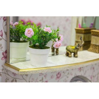 Тумба для ванной Sanflor Адель 65 (белый/золото) 8