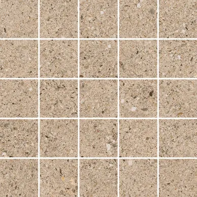 22621 D.EVOLUTION TAUPE MOSAIC/25X25 0