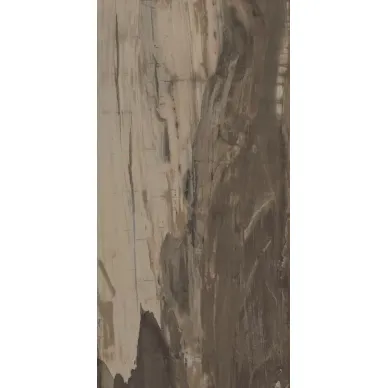 PO160RL Petrified Wood Brown Rett/Lapp 49,6x99,5 0