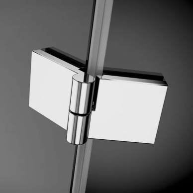 Душевая дверь Radaway Essenza (385040-01-01L) (100 см) (L) 5