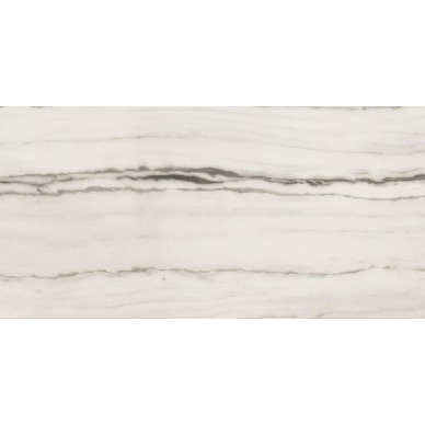 756394 Prexious White Fantasy Matte Ret 6mm 60x120 0