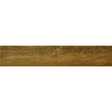 Odense Camel 23x120 0
