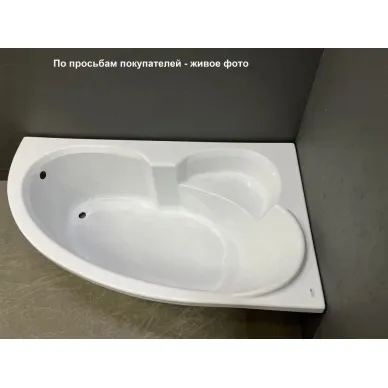 Акриловая ванна Relisan Eco Plus Эльба (Гл000023039) 170х100 ППУ, правая 5