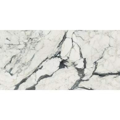 766329 Les Bijoux Calacatta Altissimo Blanc Matte 60x120 0