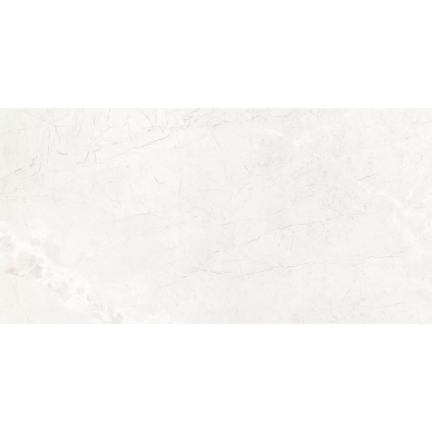 Novelle Gris Полированный 60x120 0