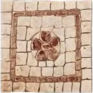1010575 FORMELLA SATURNIA CORALLO S/2 10x10 0