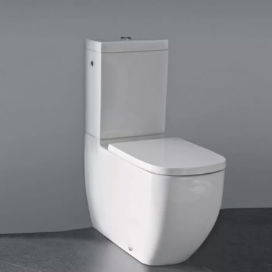 Чаша для напольного унитаза Laufen Palomba Rimless (8.2480.1.000.000.1) 1