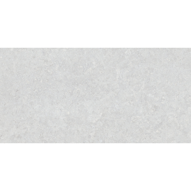 31752 Ghent Silver AS/60X120/C/R R11 60x120 0