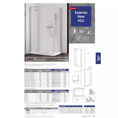 Душевая дверь Radaway Essenza (385041-01-01R) (110 см) (R) 8