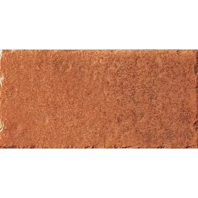 1009484 MINIO (rosso) 5x10 0