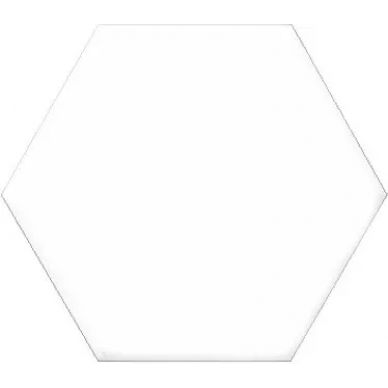 Versalles HEX White 20x24 0