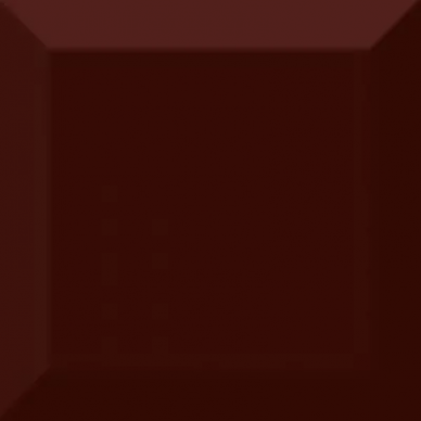 Biselado Brillo Marron 10x10 0
