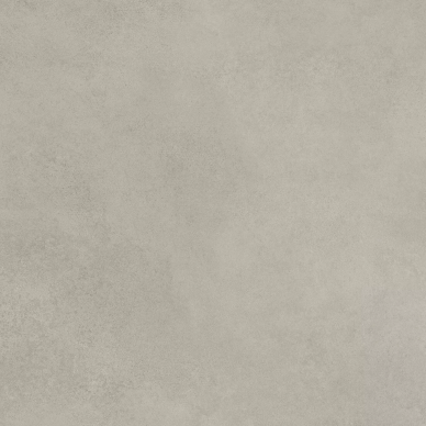24133 URBAN MUD SF/60X60/C/R R10 0