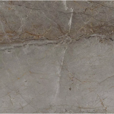100311862 Xlight Premium Astana Grey Nature 6mm 120x120 0