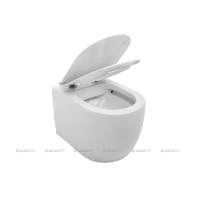 Чаша подвесного унитаза Aquanet Rimless Cetus-W (BL-102N-WHT) микролифт 3