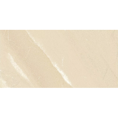 904933 Tibet Smooth Beige 60*120 0