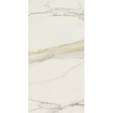750680 Calacatta Gold Chain E Glossy 6mm 120x240 0