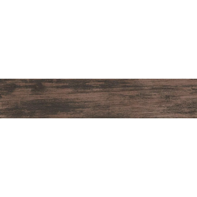 10390291 Corsaro 10x50 0