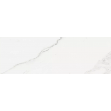 Polaris Rectificado 30x90 0